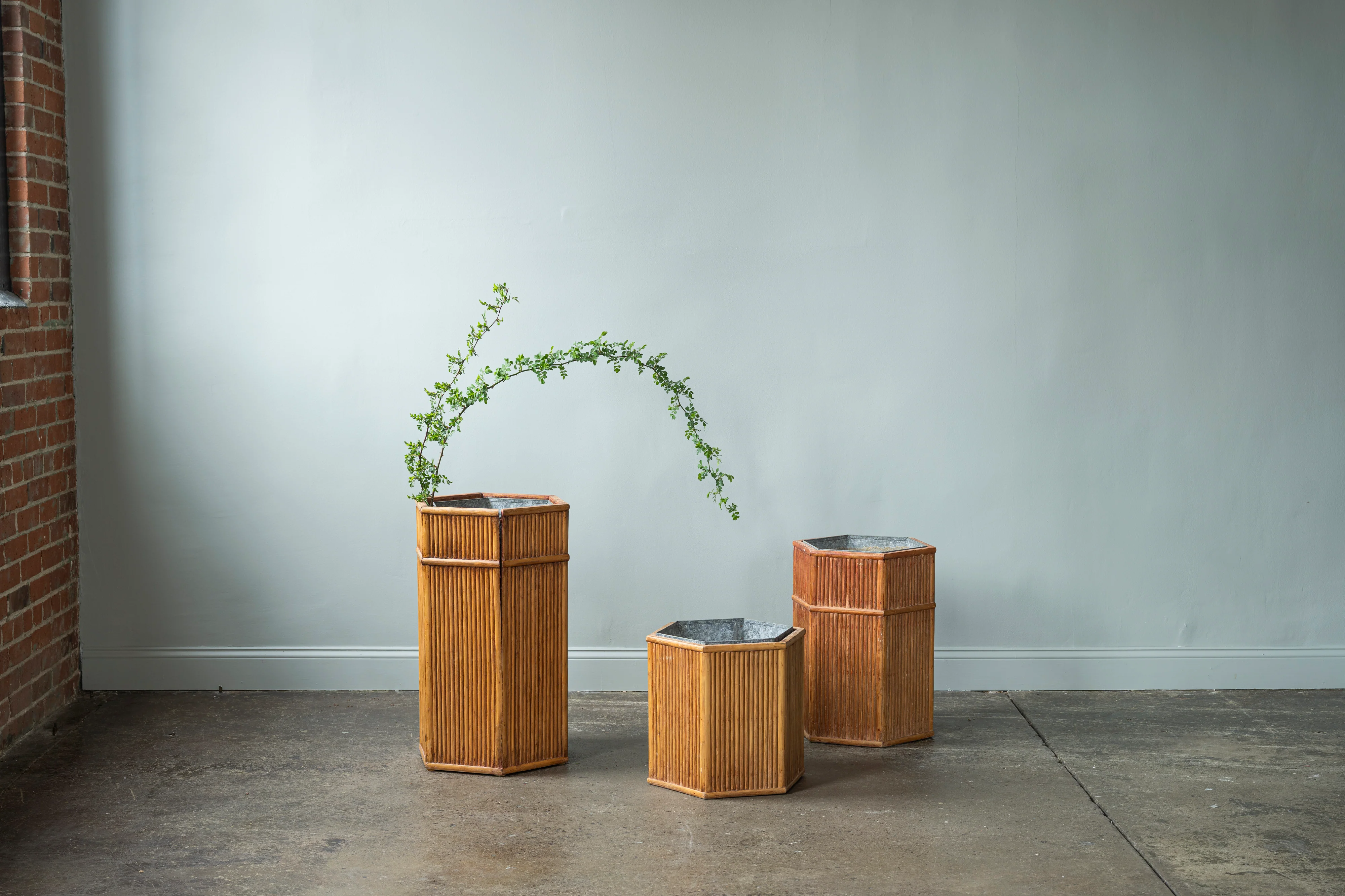 Bamboo Planters