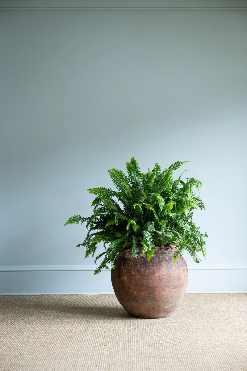Terracotta Round Pot