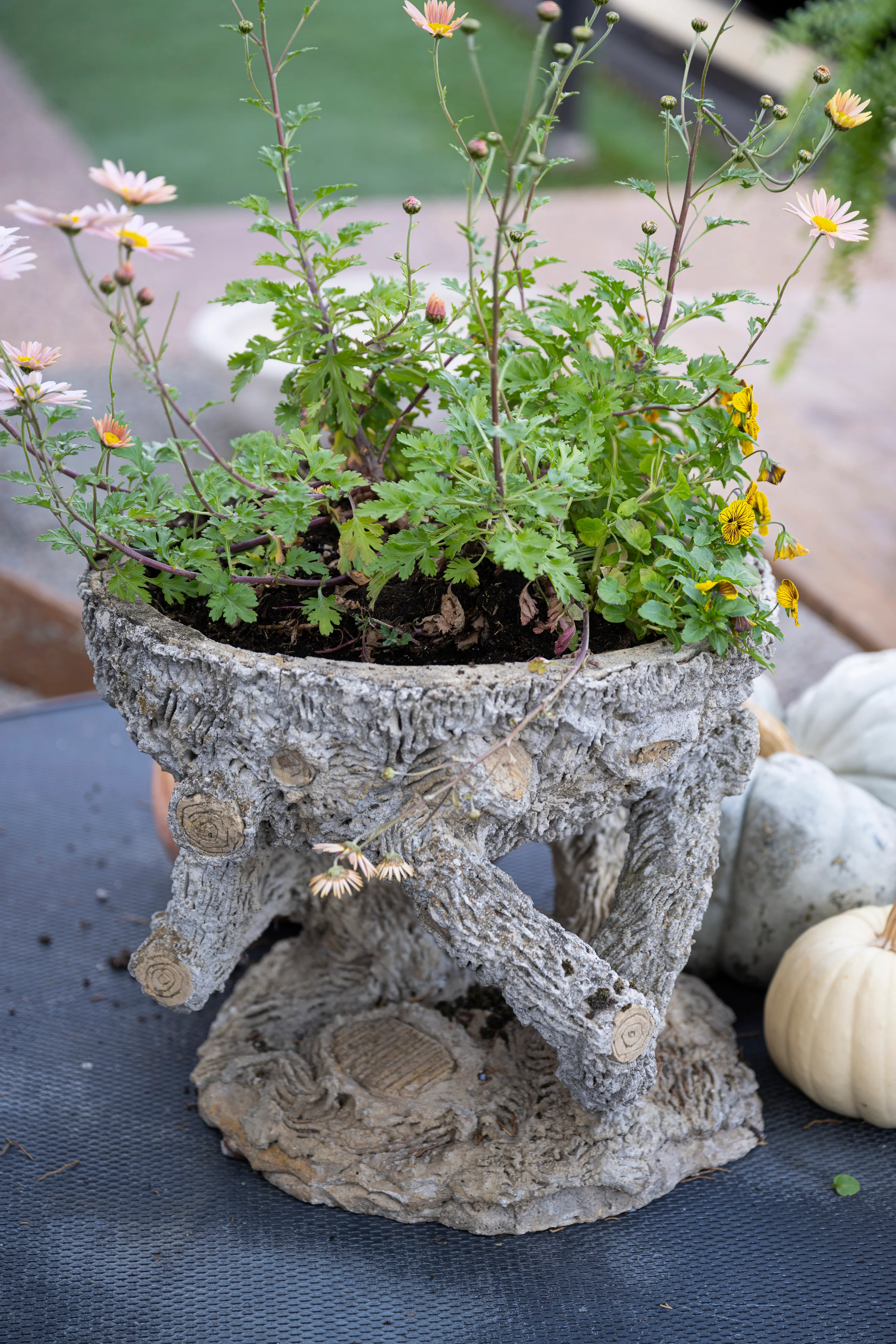 Faux Bois Planter