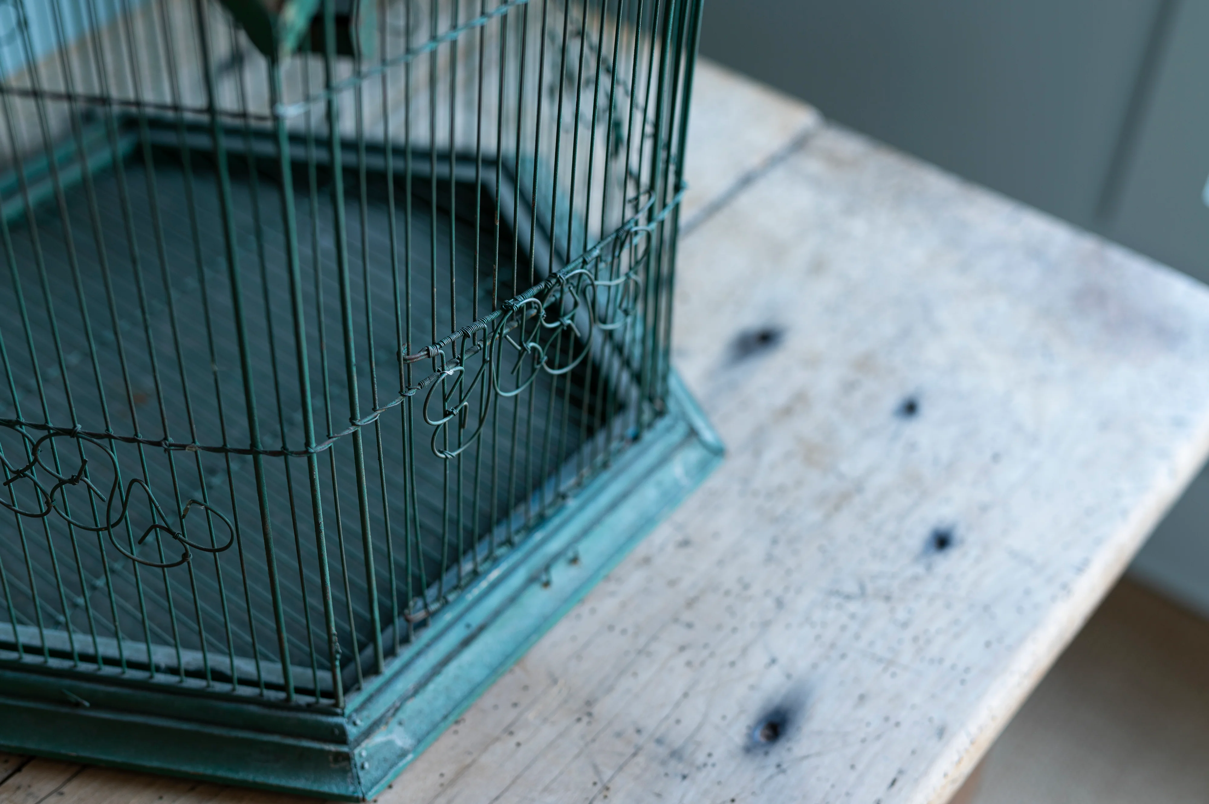 Green Bird Cage