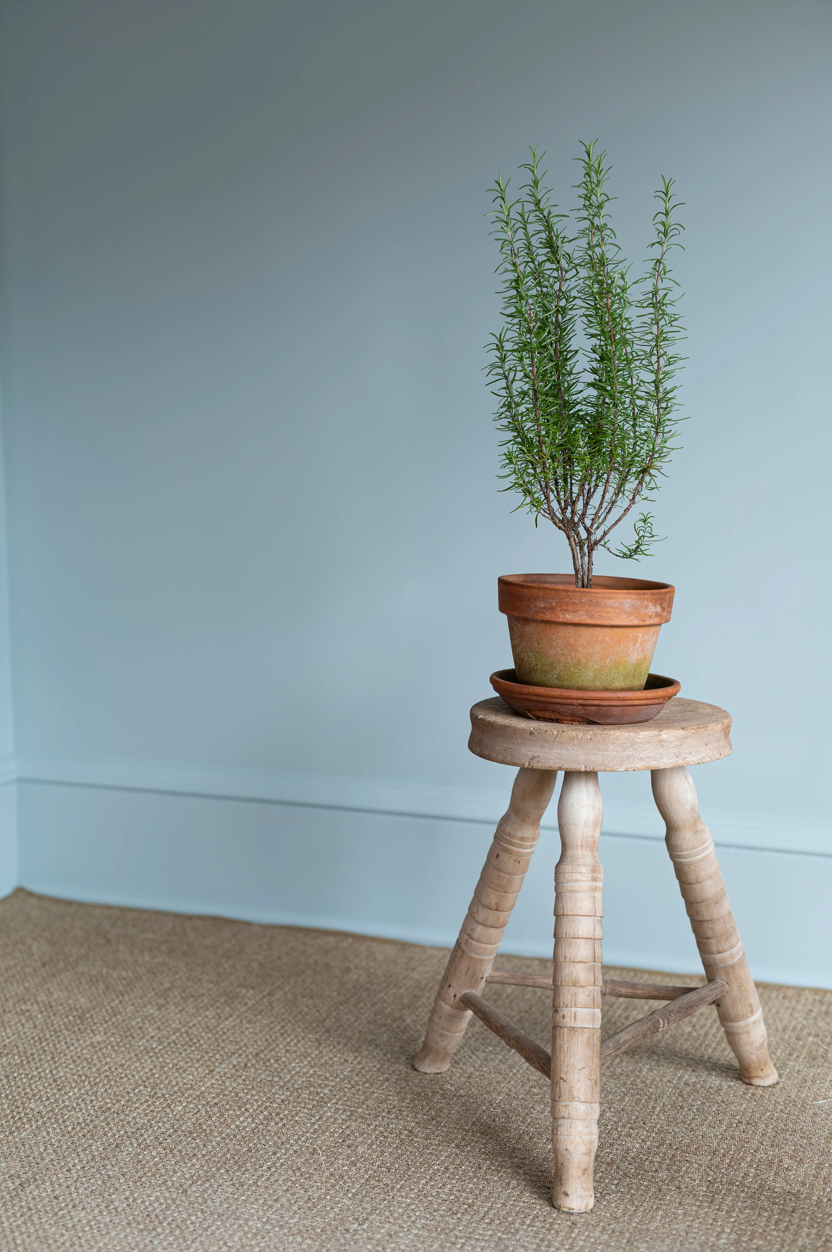 Rustic Stools