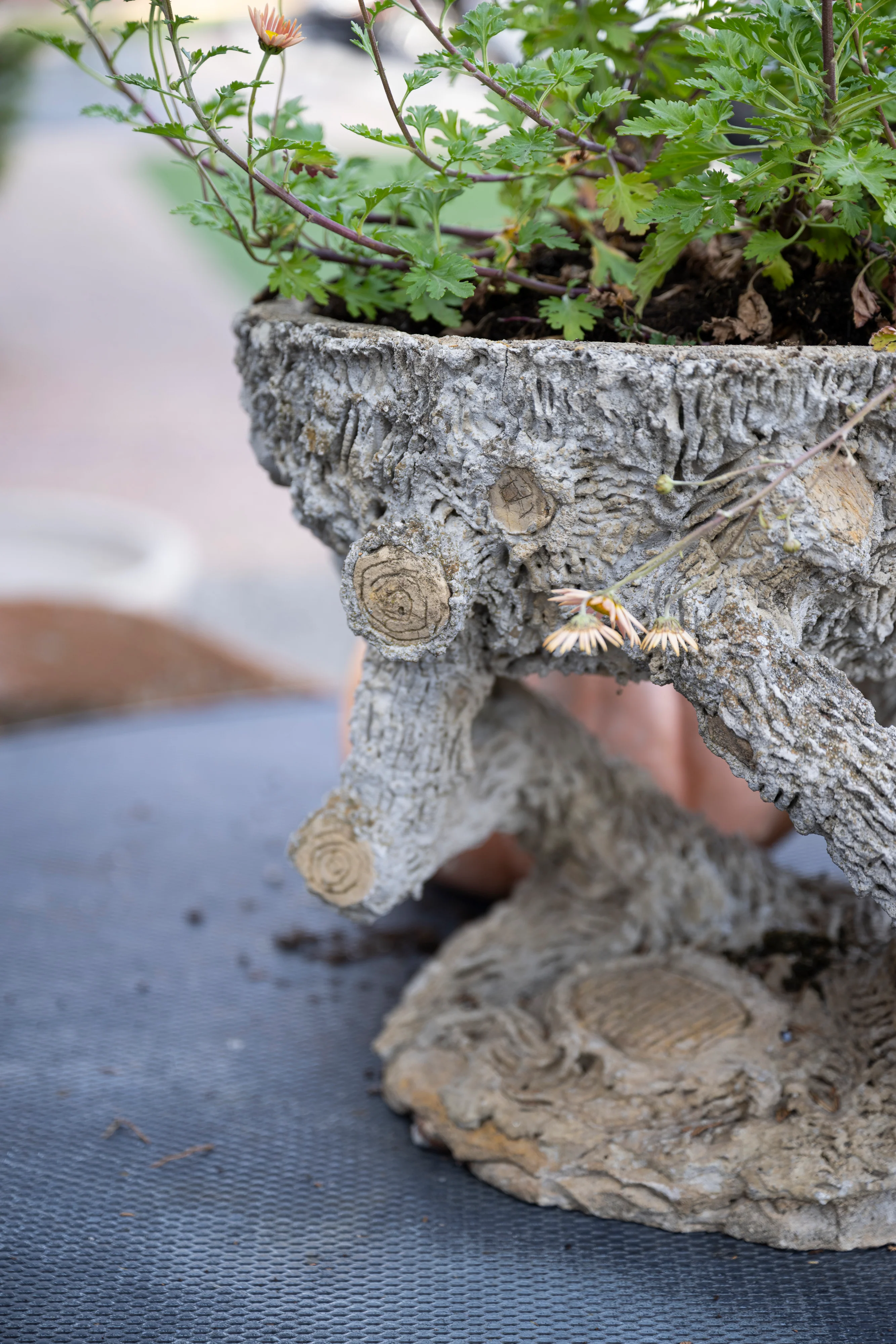Faux Bois Planter